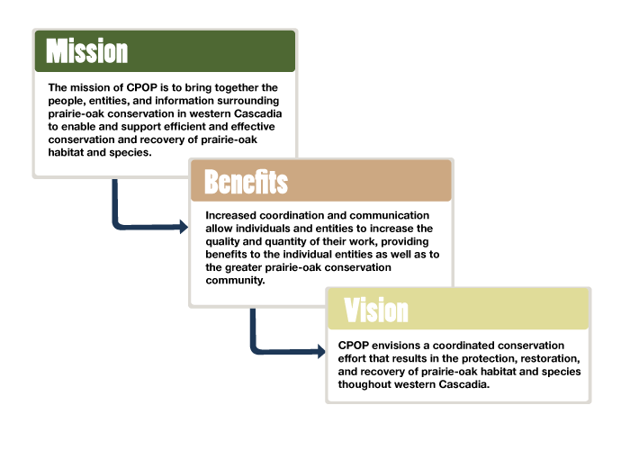 Mission, Benefits, and Vision